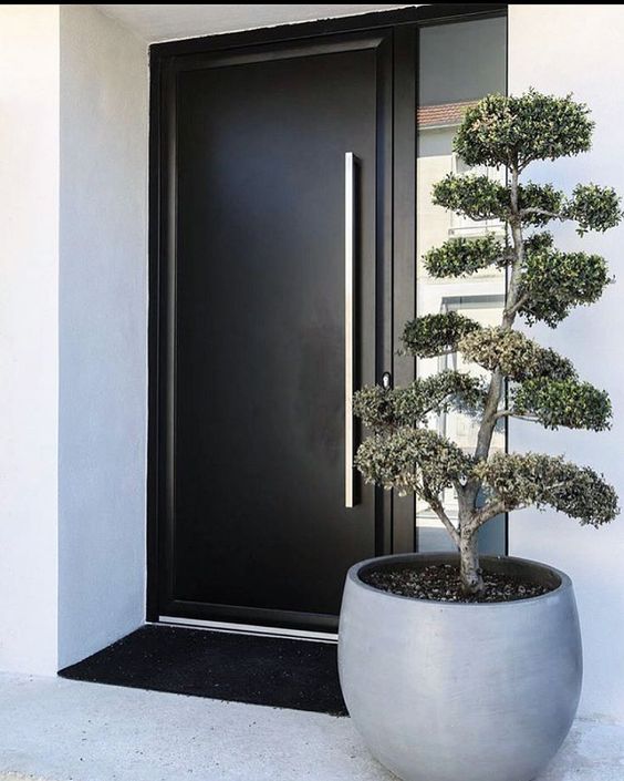 Sleek black front door.